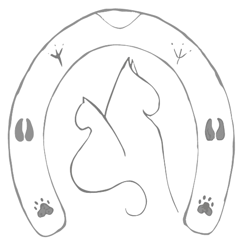 Ostéopathie Vétérinaire Marcaille Marie